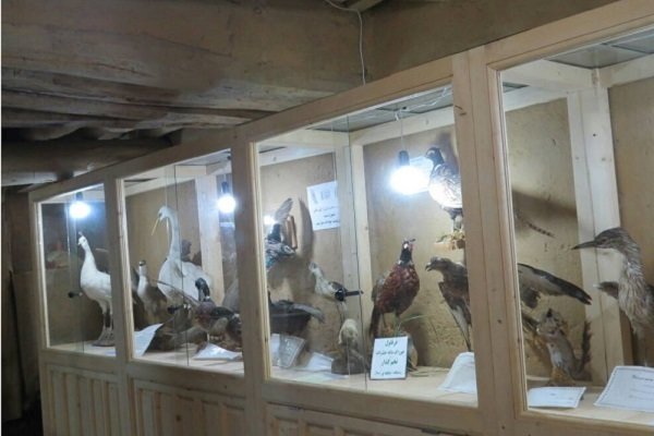 موزهٔ حیات وحش- ماسوله