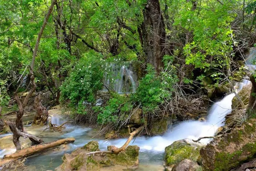 جنگل و آبشار نای انگیز خرم‌آباد