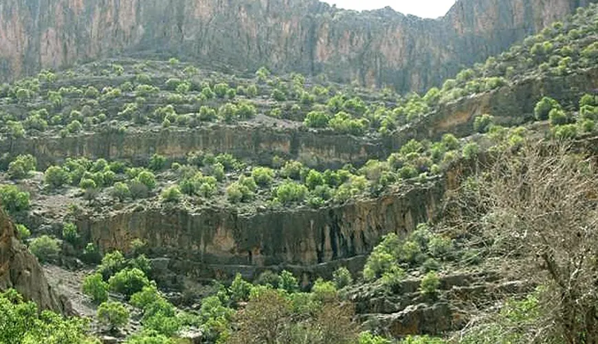 منطقه شکارممنوع کوه سیاه بوشهر